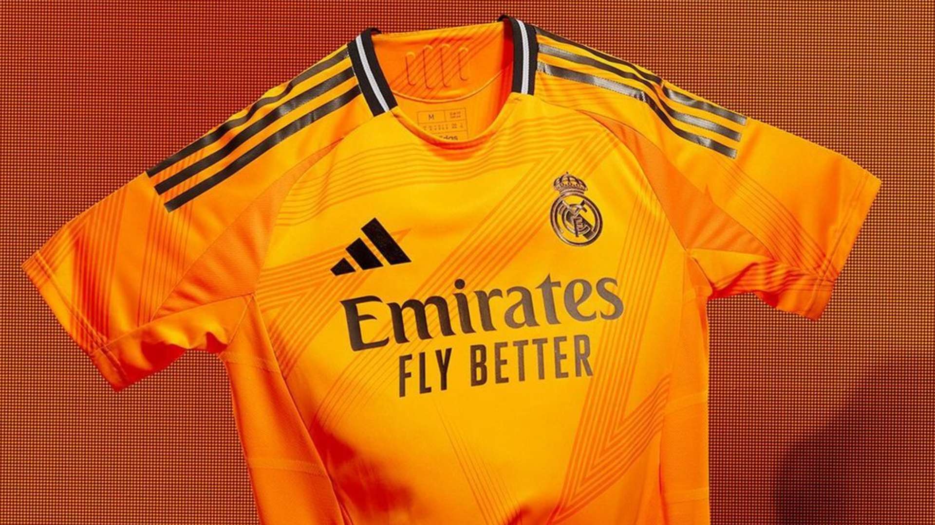 的各个层次 的各个层次