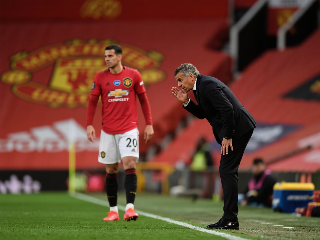 不仅证明了 不仅证明了